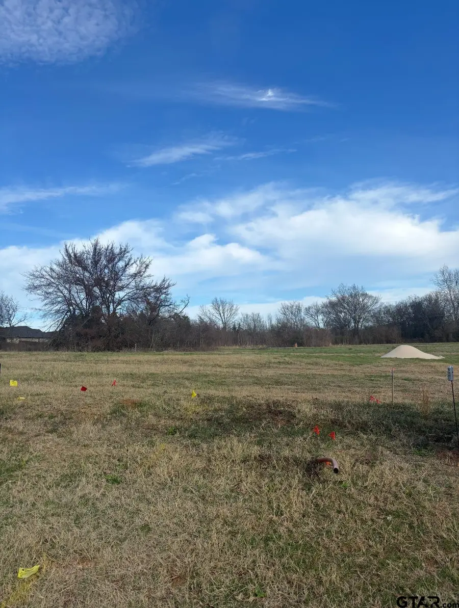 3159 CLUB DR, Tyler, TX 75703 - #2