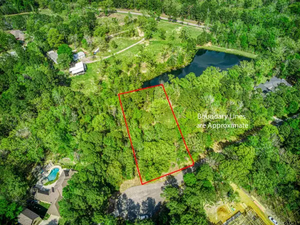 14867 Lake Meadow Ct, Tyler, TX 75707