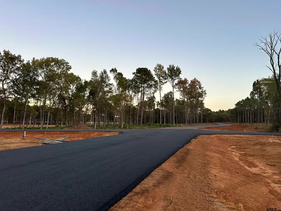 Lot 72A Oak River, Frankston, TX 75763 - #3