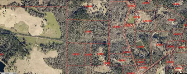 TBD County Road 4510, Winnsboro, TX 75494