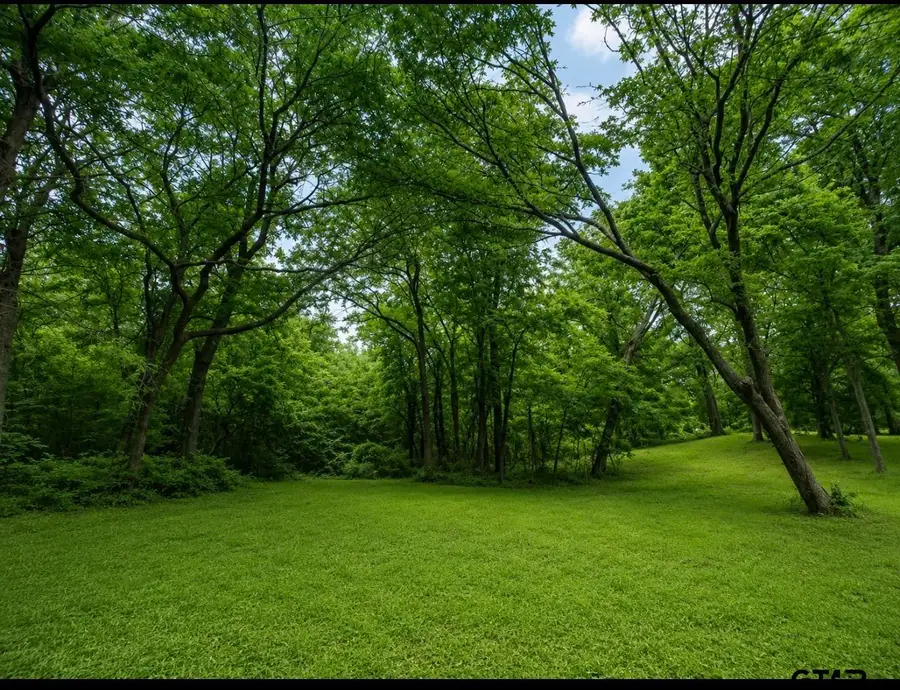 TBD County Road 4510, Winnsboro, TX 75494 - #2