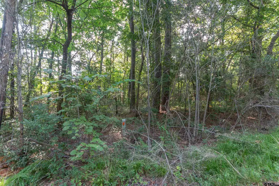 TBD CR 1237, Tyler, TX 75703 - #3