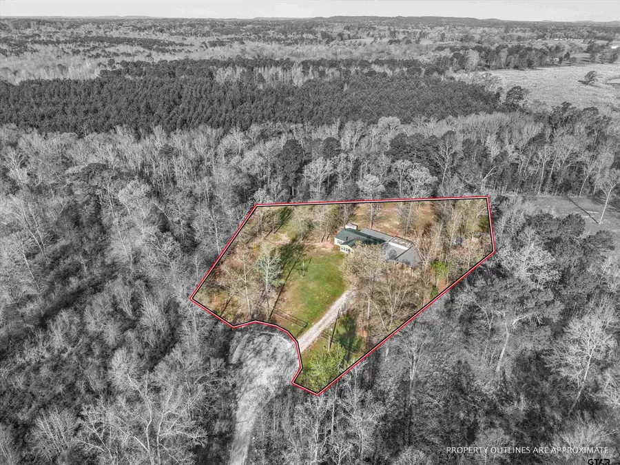 136 W Basil Dr., Diana, TX 75640 - #2