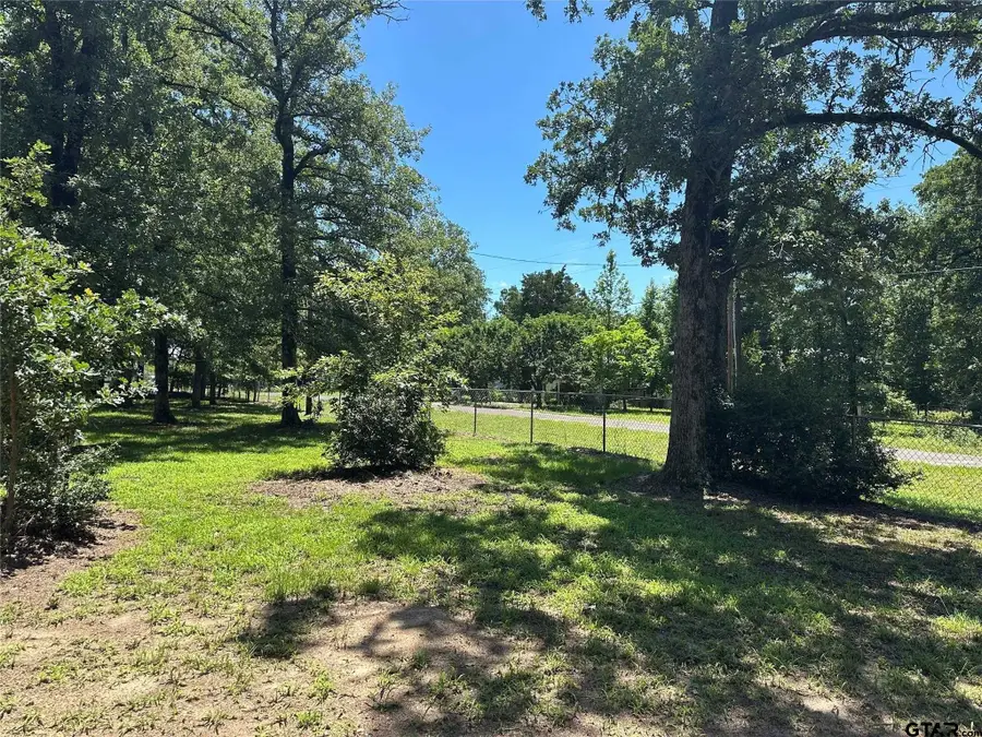 437 Maple Dr, Murchison, TX 75778 - #3