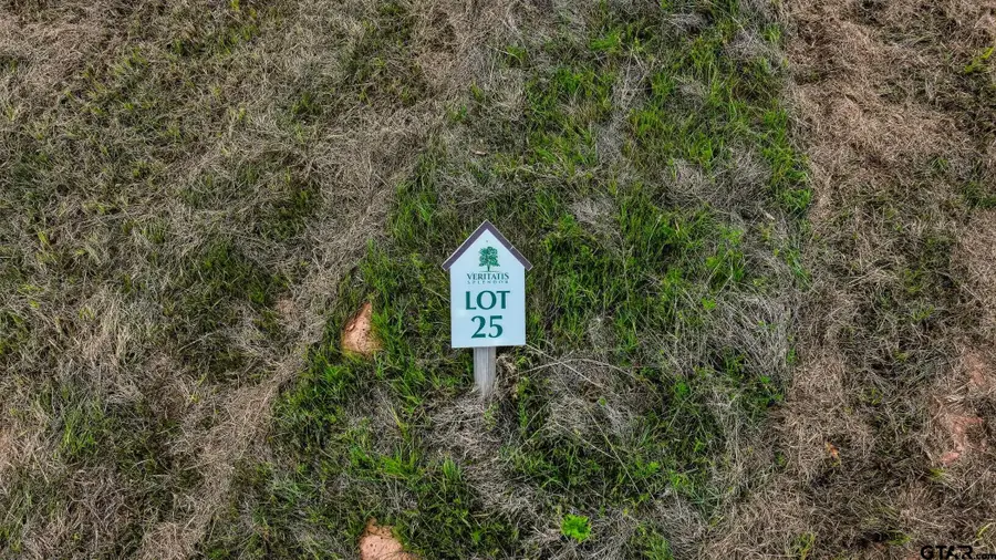 17127 Lux Mundi Ridge, Winona, TX 75792 - #3