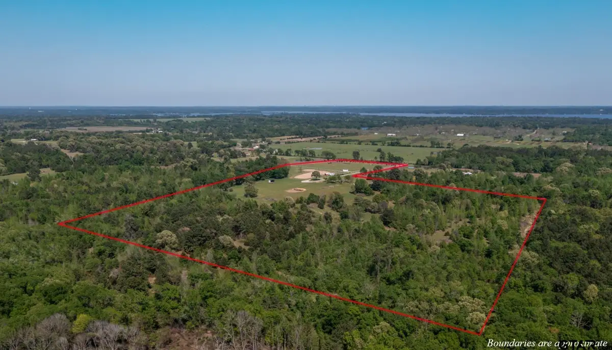 1140 CR-3412, Chandler, TX 75758 - #1