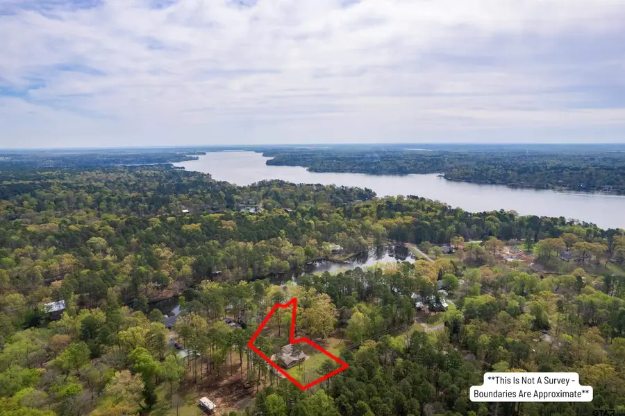 102 King Henry, Scroggins, TX 75480 - #3