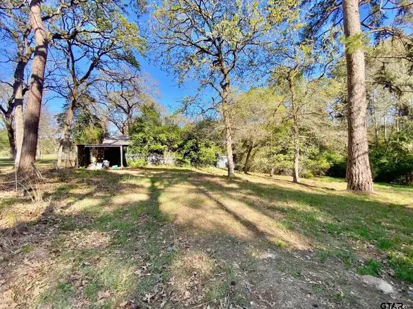 361 Beaver Run, Grapeland, TX 75844
