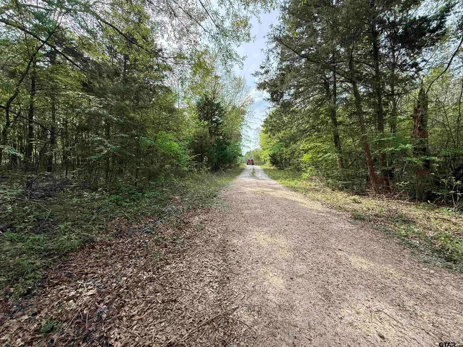 TBD County Road 4131, Mount Vernon, TX 75457 - #2