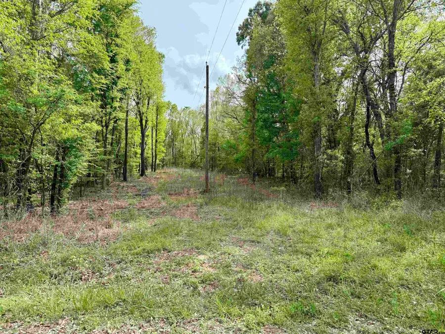 TBD County Road 4131, Mount Vernon, TX 75457 - #3