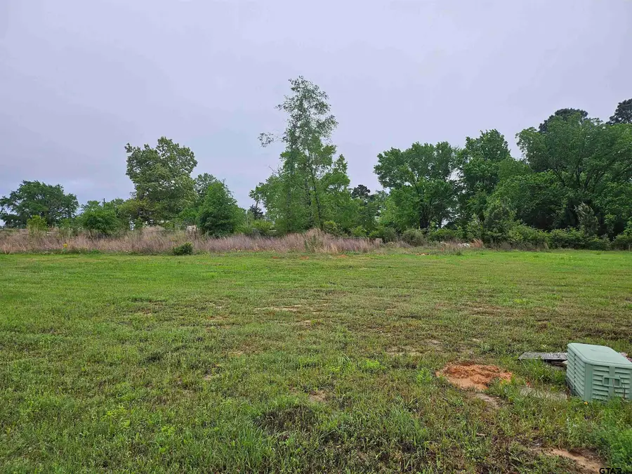 430 Deer Point Cove, Chandler, TX 75758 - #3