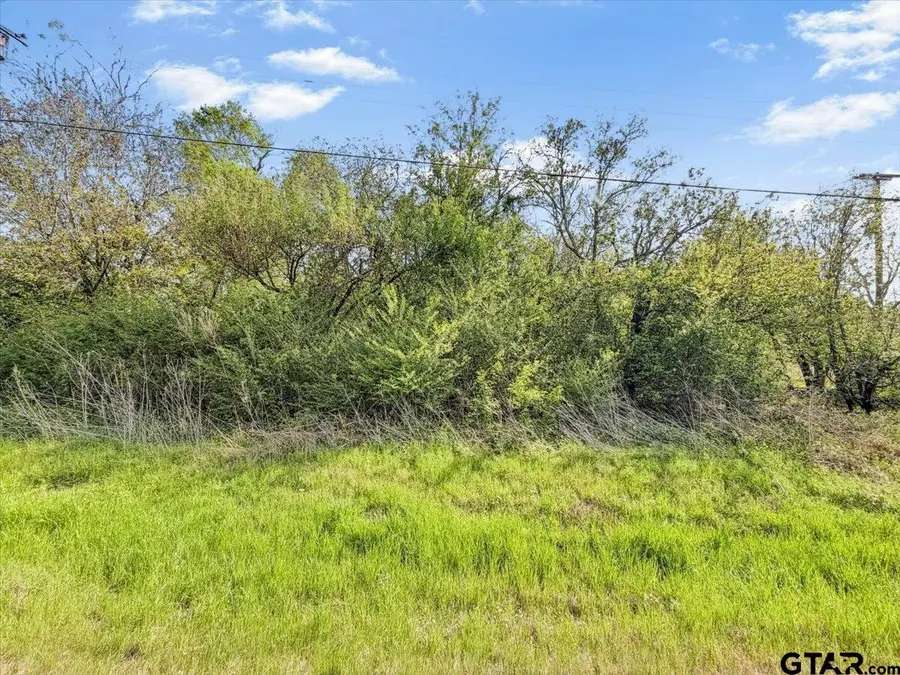 TBD HWY 64 W, Tyler, TX 75704 - #2