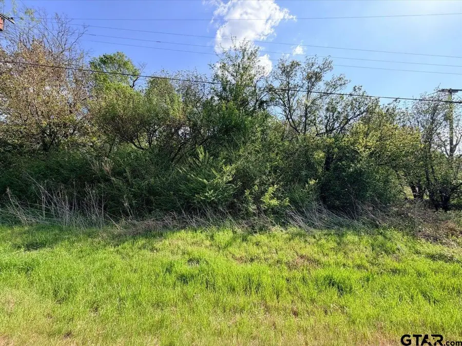 TBD HWY 64 W, Tyler, TX 75704 - #3