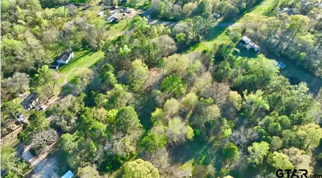 10933 County Road 384, Tyler, TX 75708 - #1