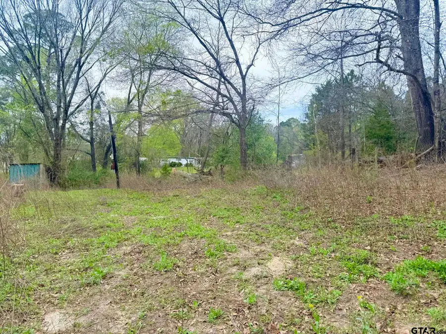 10933 County Road 384, Tyler, TX 75708 - #3