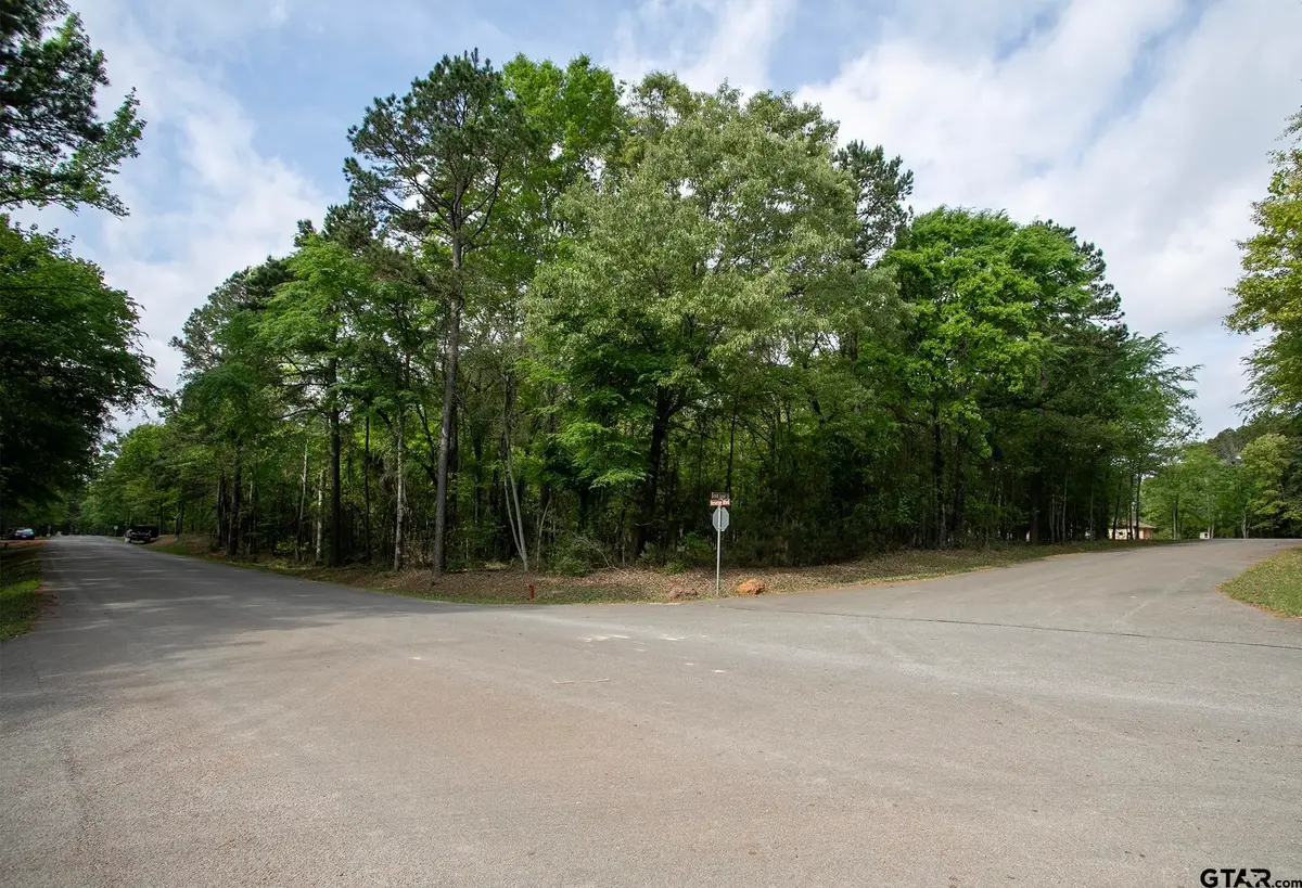 14856 Gold Leaf Ct, Tyler, TX 75707 - #1