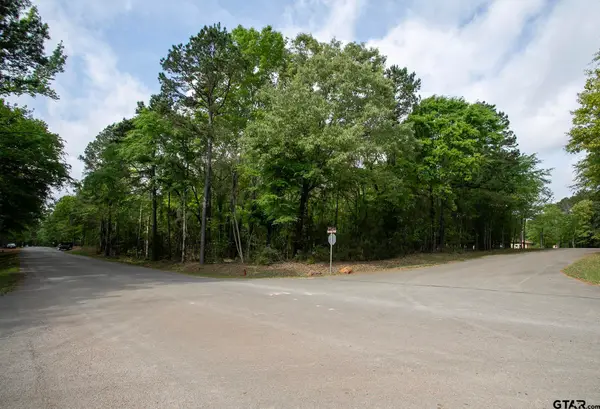 14856 Gold Leaf Ct, Tyler, TX 75707