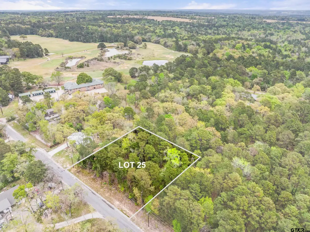 lot 25 ACR 319, Frankston, TX 75763 - #1