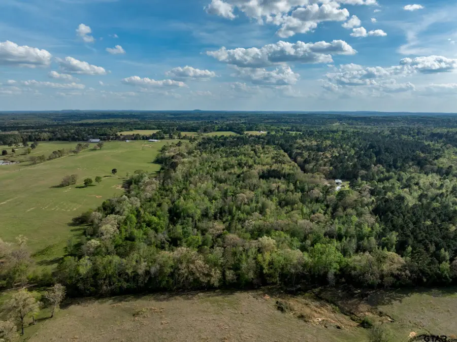 0 White Tail Rd END, Gilmer, TX 75644 - #2