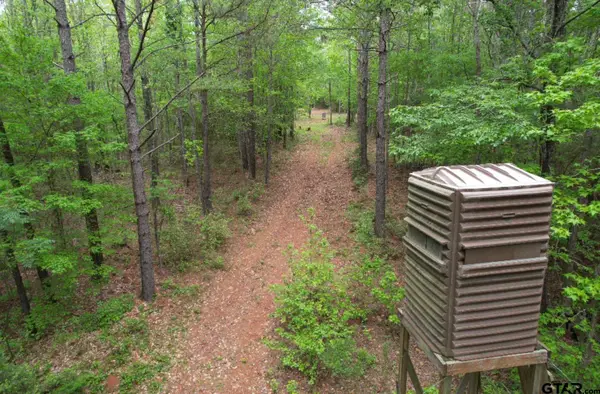 TBD CR 120C, San Augustine, TX 75972