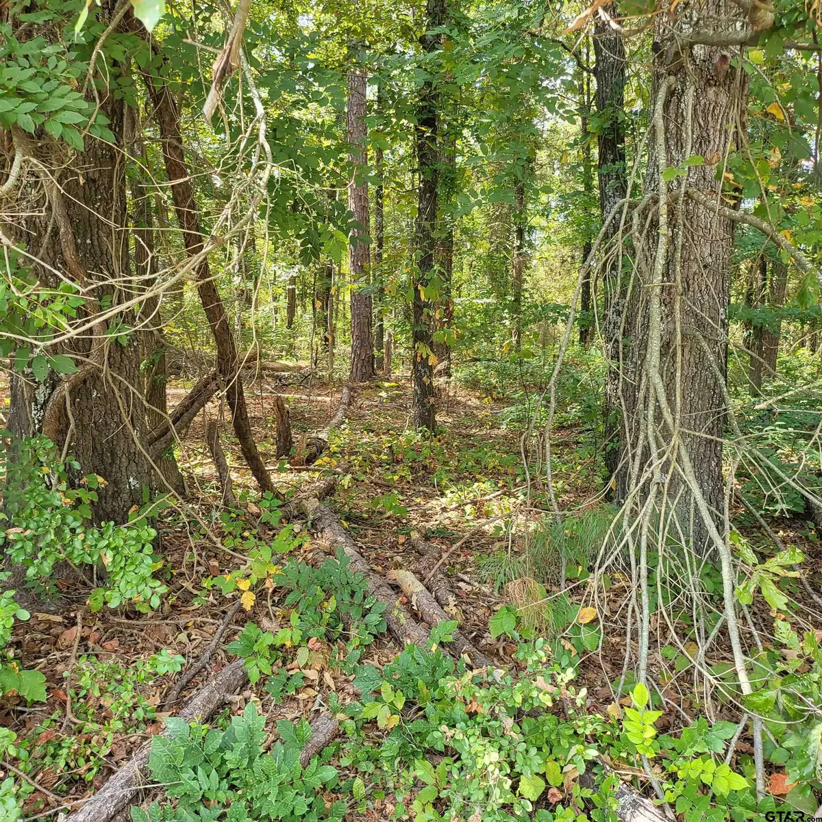 18275 C R 237, Tyler, TX 75705 - #1