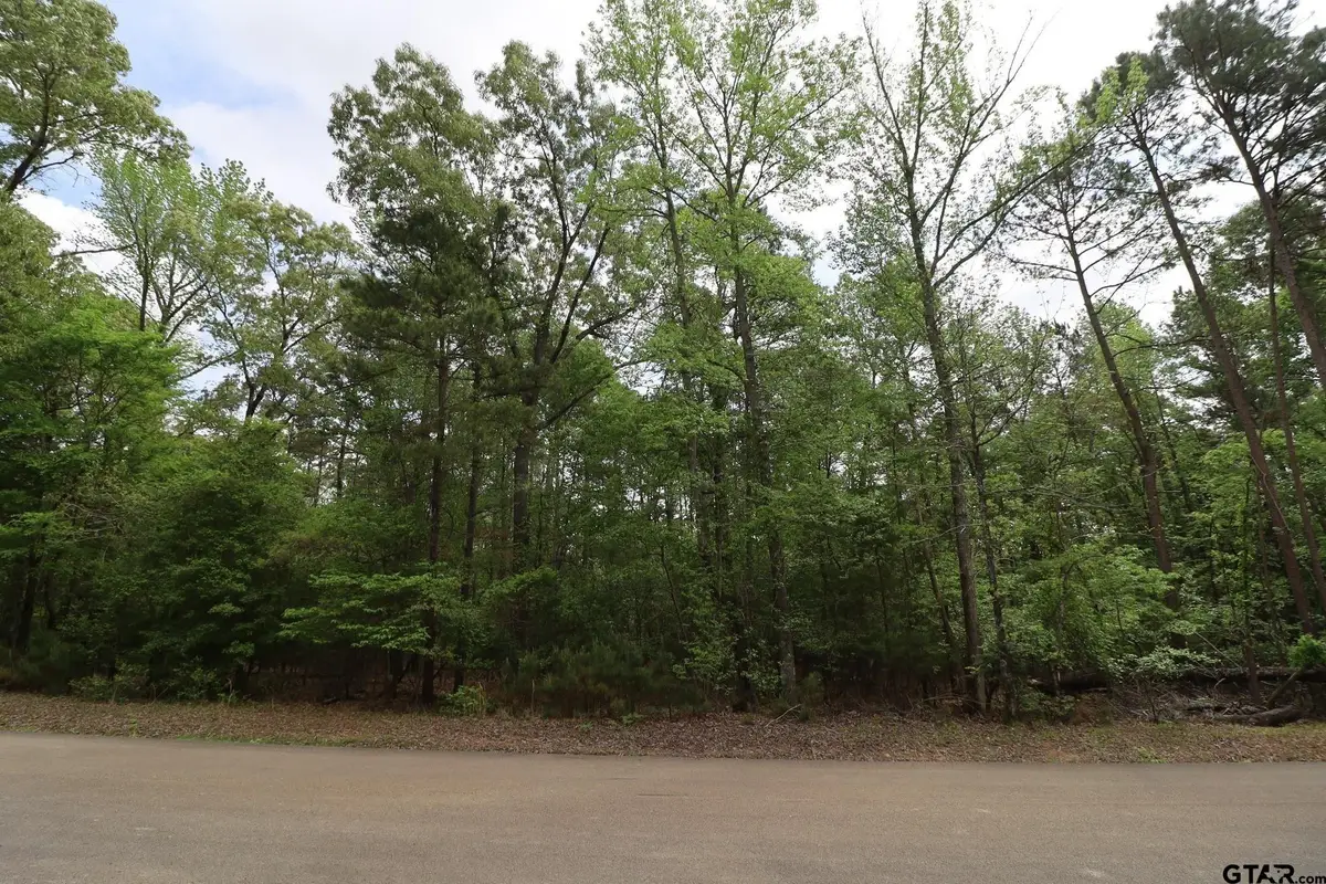 14624 Reserve Ct, Tyler, TX 75707 - #1