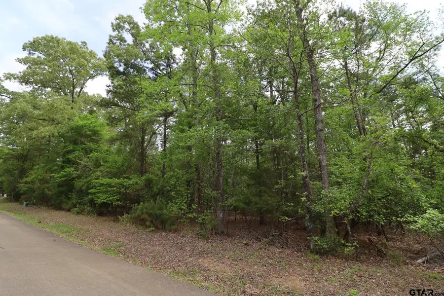 14624 Reserve Ct, Tyler, TX 75707 - #3