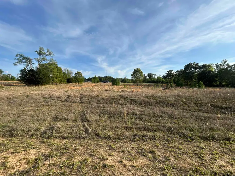 Lot 106 Ridgeline Loop, Winona, TX 75792 - #2