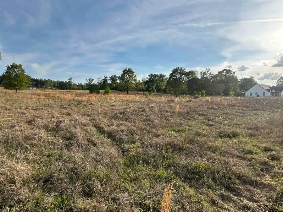 Lot 106 Ridgeline Loop, Winona, TX 75792 - #3