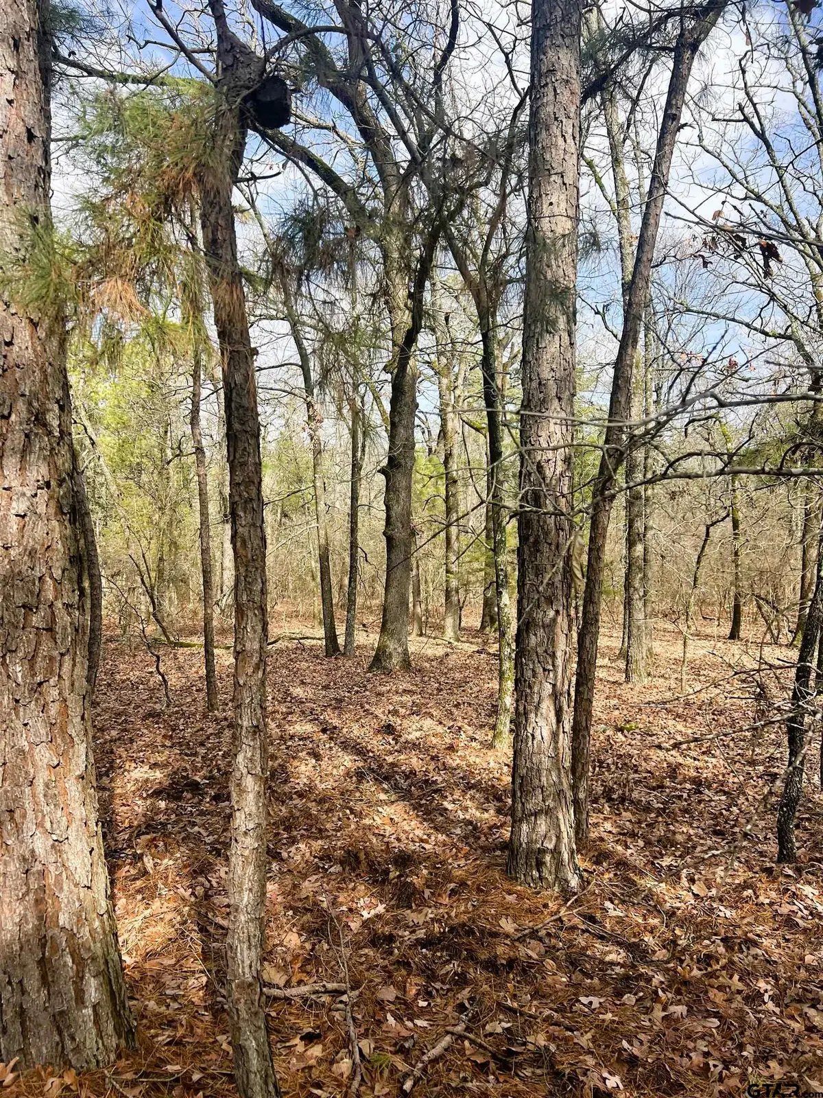 000 Private Road 8000, Winnsboro, TX 75494 - #1
