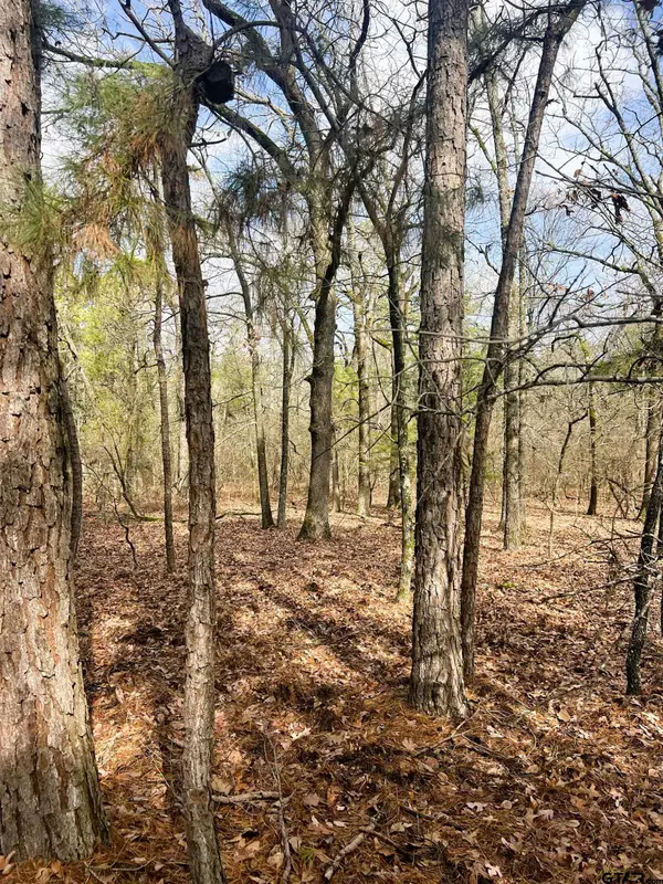 000 Private Road 8000, Winnsboro, TX 75494