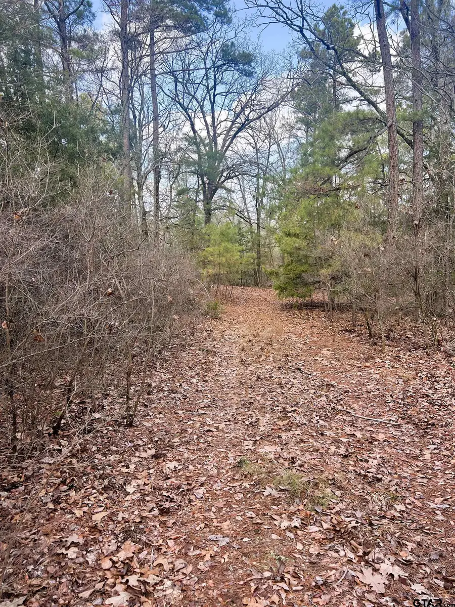 000 Private Road 8000, Winnsboro, TX 75494 - #2