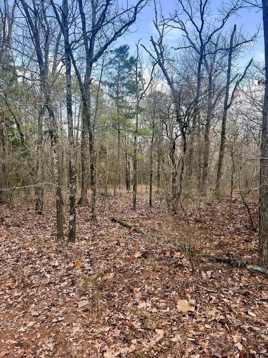 000 Private Road 8000, Winnsboro, TX 75494 - #3