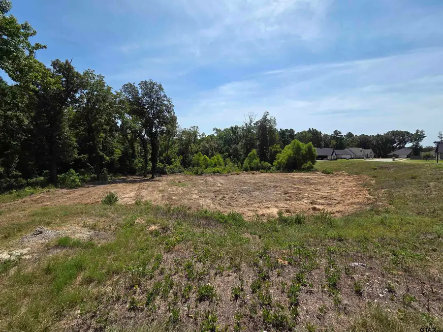 3515 Chapel View, Tyler, TX 75707 - #3