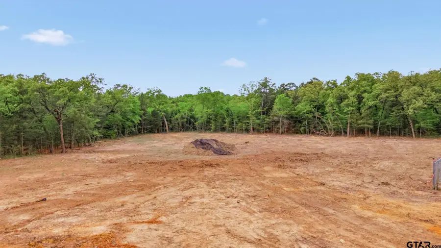 20942 Hwy 155 S, Flint, TX 75762 - #3