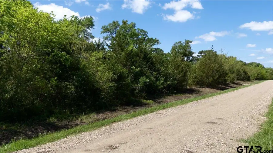 TBD County Road 4511, Commerce, TX 75428 - #3