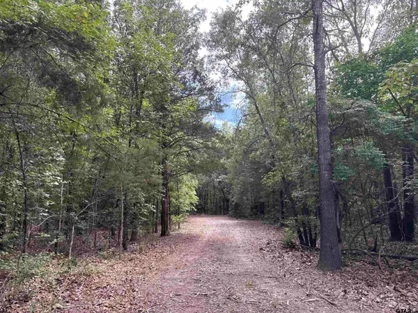 22417 CR 455, Van, TX 75790