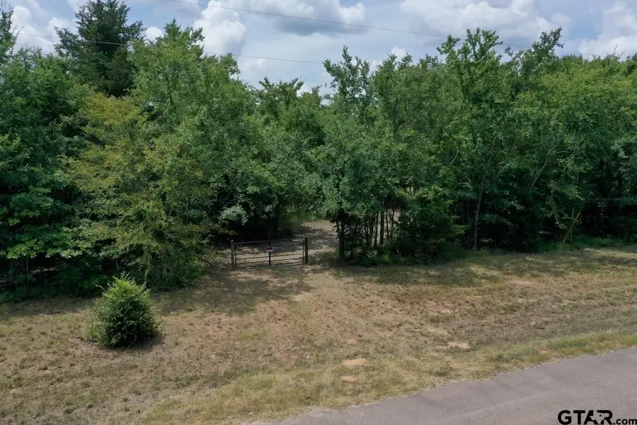 22417 CR 455, Van, TX 75790 - #3