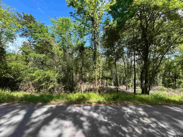 13912 County Road 1250, Tyler, TX 75709