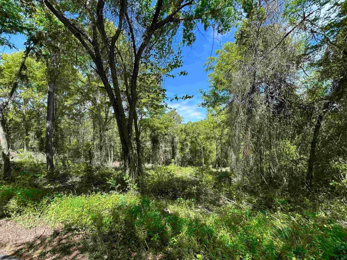 13808 County Road 1250, Tyler, TX 75709 - #1