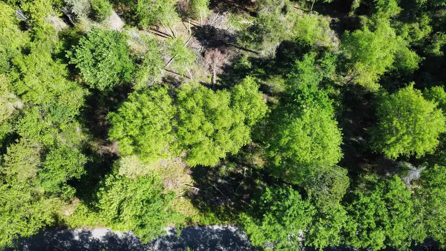 13808 County Road 1250, Tyler, TX 75709 - #3