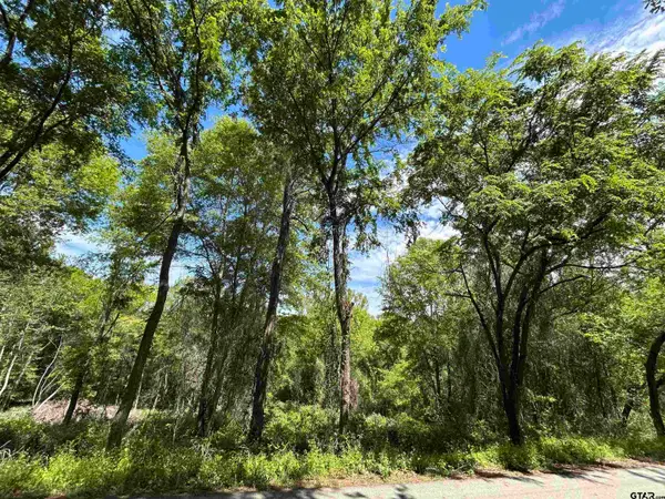 13904 County Road 1250, Tyler, TX 75709