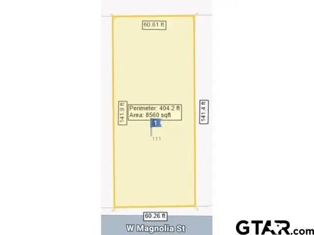 111 W Magnolia St, Troup, TX 75789 - #1