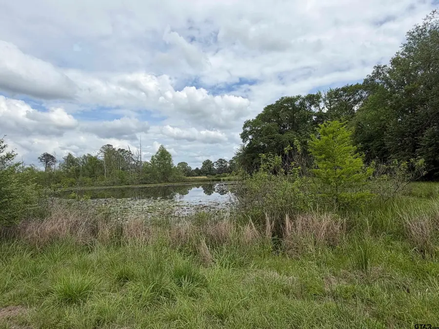 TBD Hwy 49, Jefferson, TX 75657 - #3