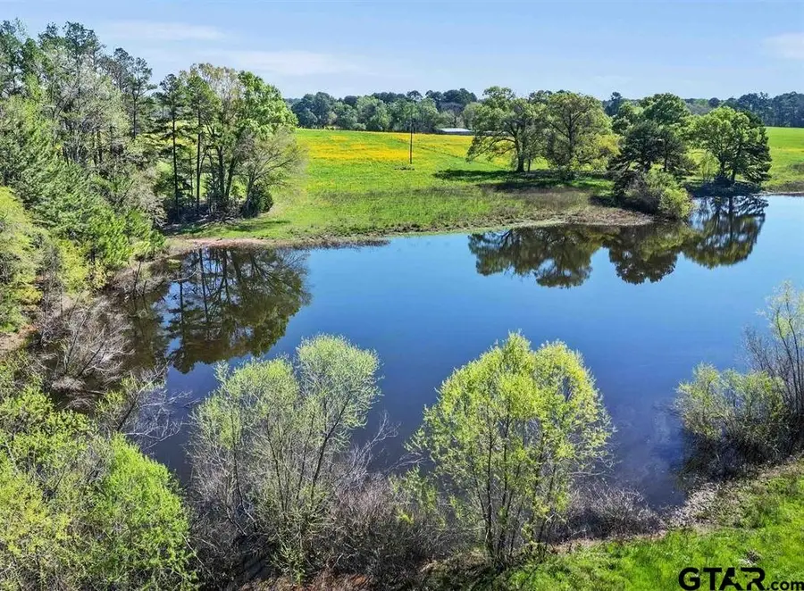 000 AN County Road 185, Elkhart, TX 75839 - #3