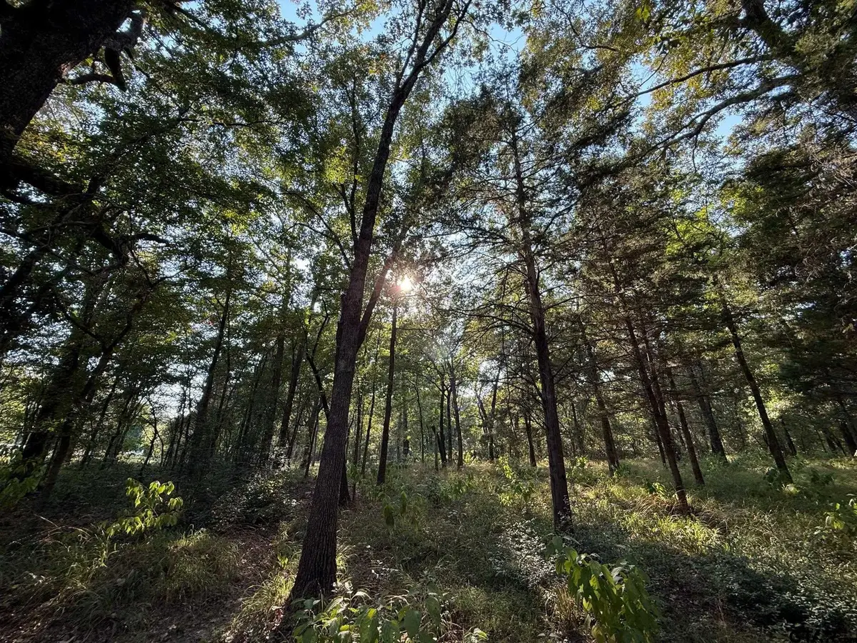 TBD CR 2798, Mineola, TX 75773 - #1