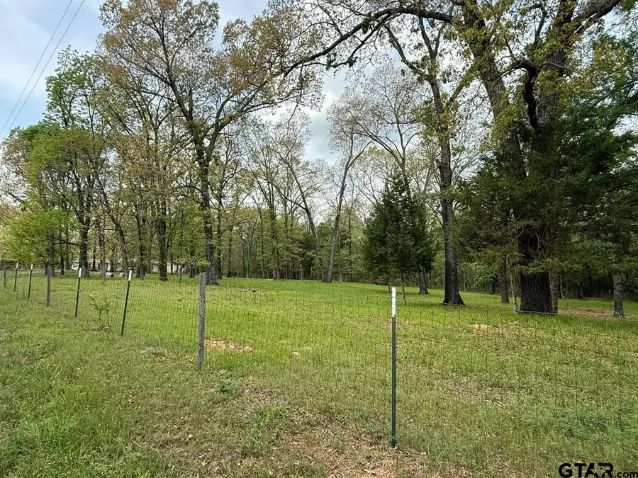 TBD CR 2798, Mineola, TX 75773 - #2