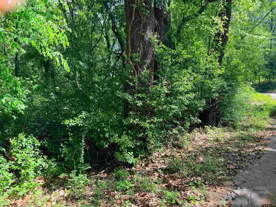 1023 S Peach Ave, Tyler, TX 75701 - #3