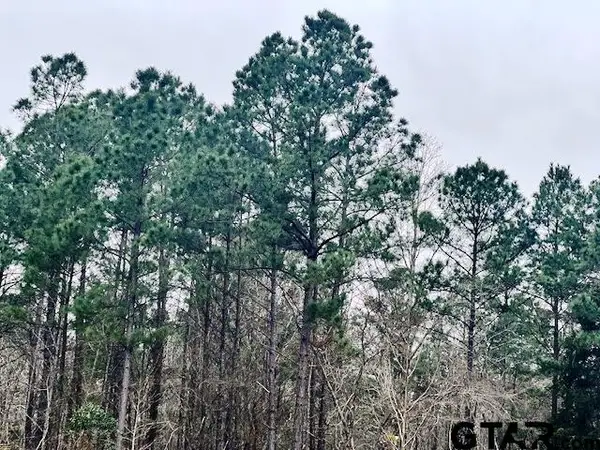 TBD Highway 79 Tract 1, New Summerfield, TX 75780