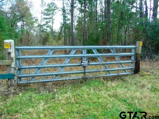 TBD Highway 79 Tract 2, New Summerfield, TX 75780 - #1